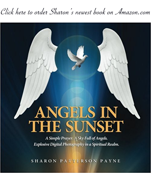 Order Angels in the Sunset on Amazon